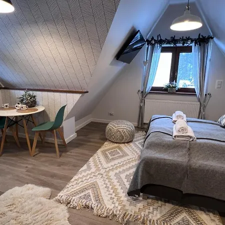 Apartament Vip Centrum