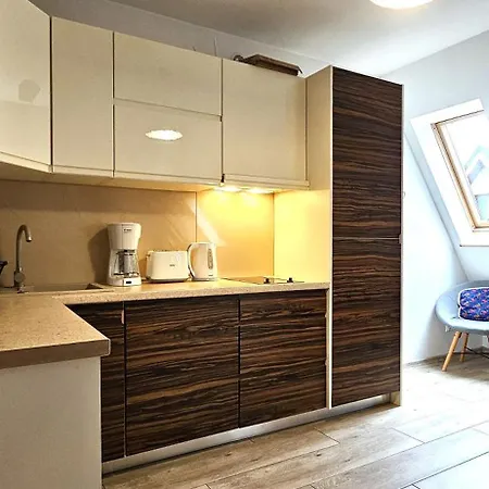 Vip Centrum Apartament