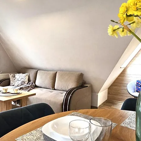 Vip Centrum Apartament *