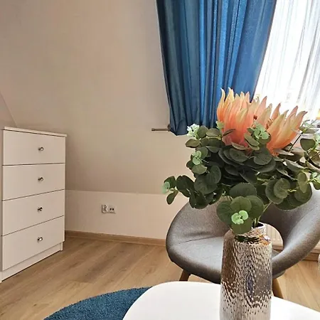 Apartament Vip Centrum *