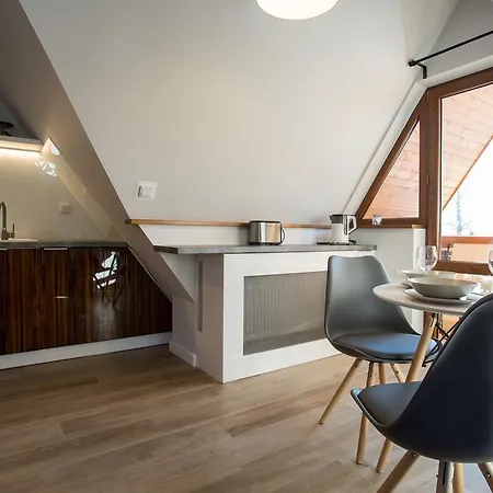 Vip Centrum Apartament Zakopane