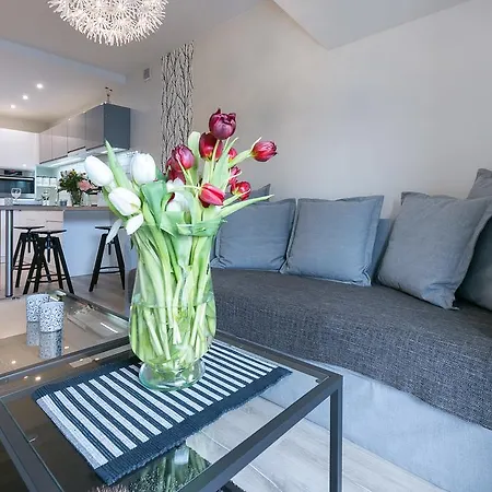 Vip Centrum Apartament *