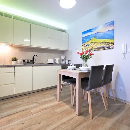 Vip Centrum Apartamento Zakopane